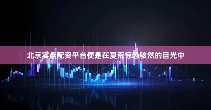 北京实盘配资平台便是在夏荒惊恐骇然的目光中