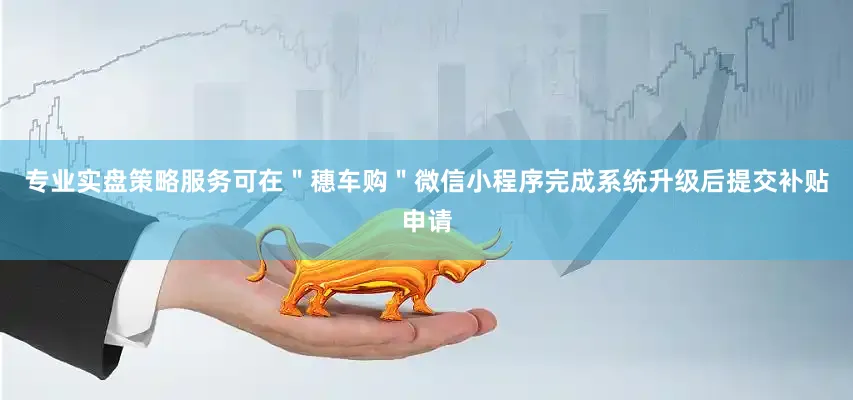 专业实盘策略服务可在＂穗车购＂微信小程序完成系统升级后提交补贴申请