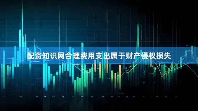 配资知识网合理费用支出属于财产侵权损失